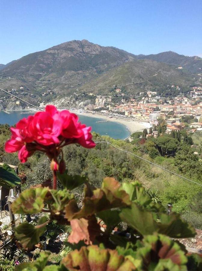 Maremesco * Levanto